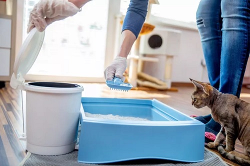 Clean Cat Litter Box A