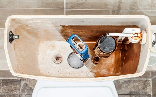 Top Methods for How to Clean Toilet Tank Effectively