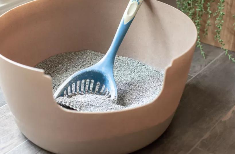 How to Dispose of Cat Litter Without Harming the Environment