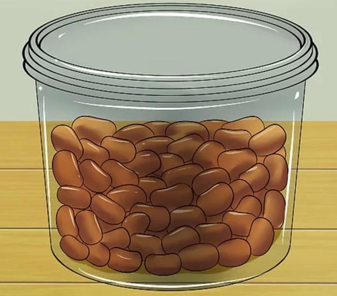 How to Keep Ants Out of Dog Food: Simple Home Remedies