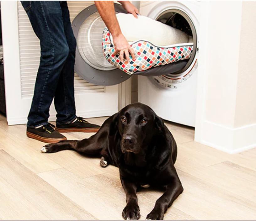 How to Wash a Dog Bed Without Ruining It