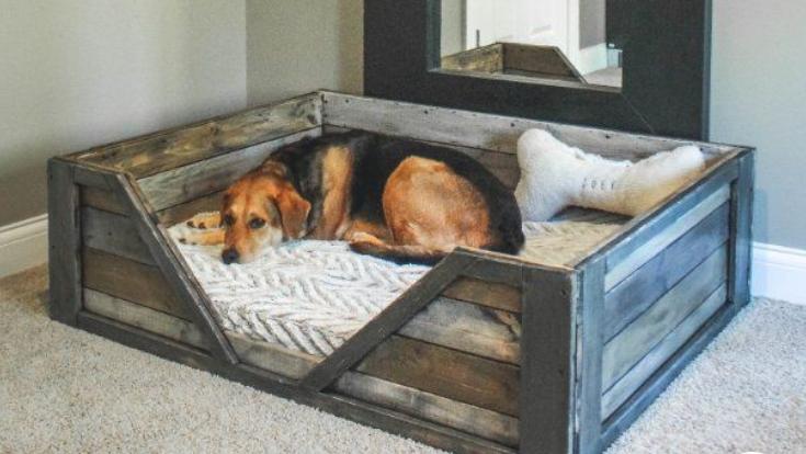 Make A Dog Bed