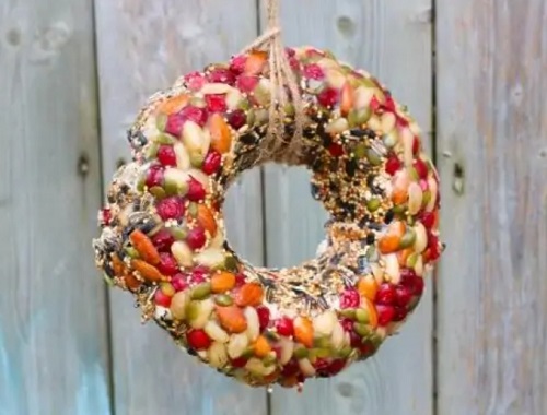 Make Bird Food Wreath A