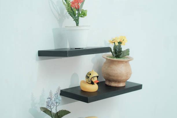 Shelves with Beautiful Plants